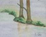 Spiegelung