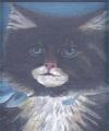 Katze/Öl auf Holz